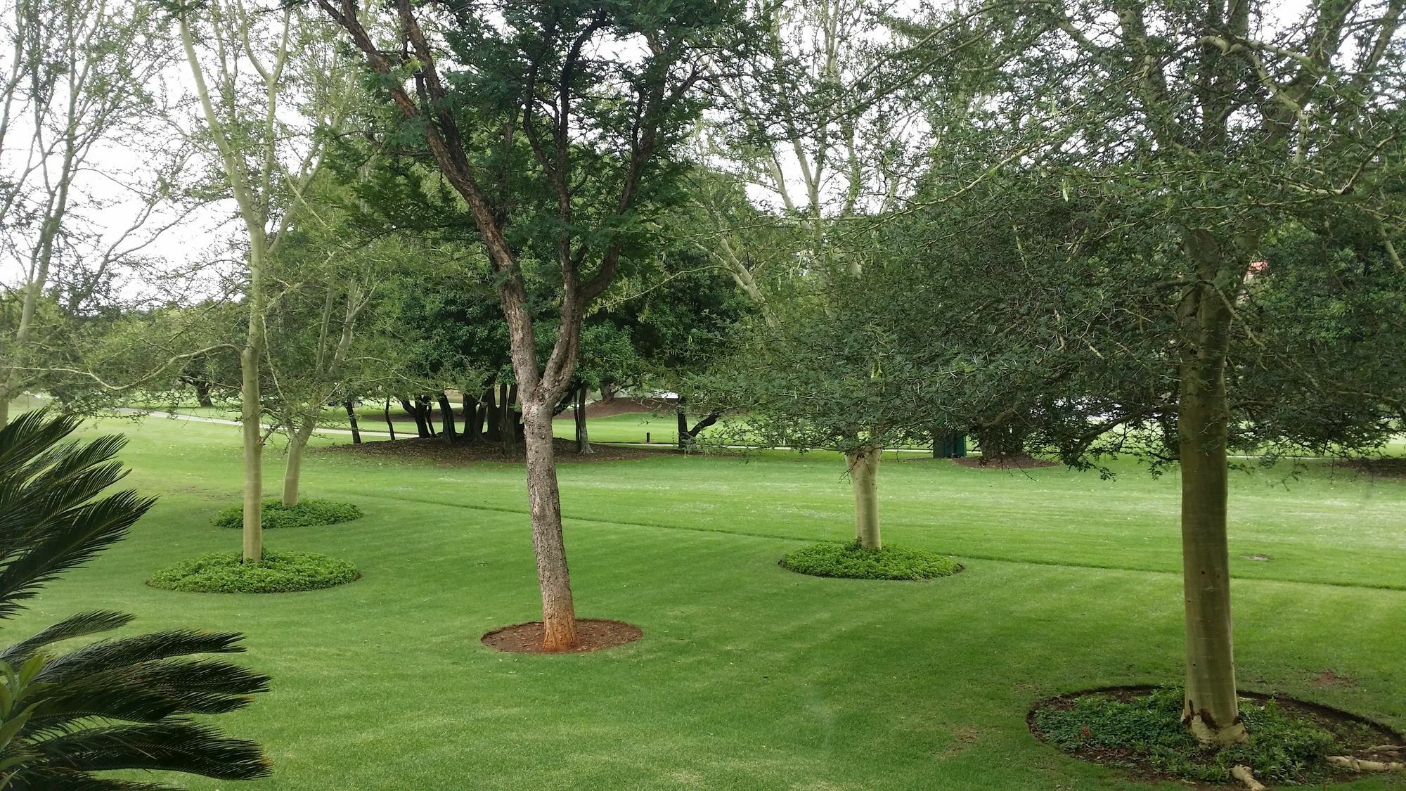 The Woodpecker Inn Pretoria-Noord Extérieur photo